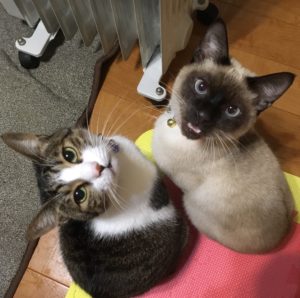 360B8010-065D-428C-890F-F54E277B23E9