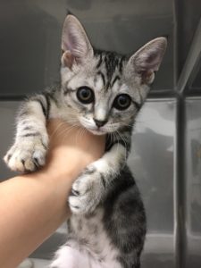 1EEC15AF-2EE3-40A2-81E5-095C4AD3B7B5