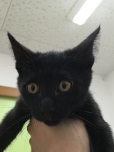 3F008AE9-5050-4502-A3EE-99F300DCB125