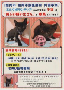 4192BD6A-1DD7-403A-B9D4-BB3B7580C25A