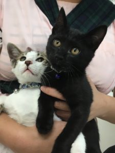 65E6F69E-EB26-43D9-A284-938C29224036