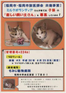 795F3488-7183-471B-B280-963166E57BCB