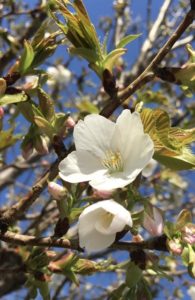 5A3C1531-A68E-4536-AD0E-C4EBB9D95C50