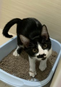 19CD552D-A16C-48C1-8C67-58207D5CB08E