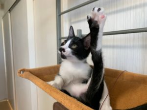 C7B5086E-2856-49D5-8701-1B750BE4C91D